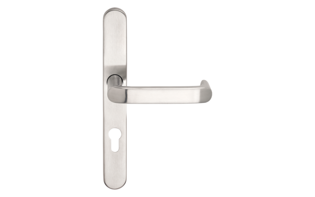DIRIGENT Moderner Edelstahl Türgriff mit Langschild