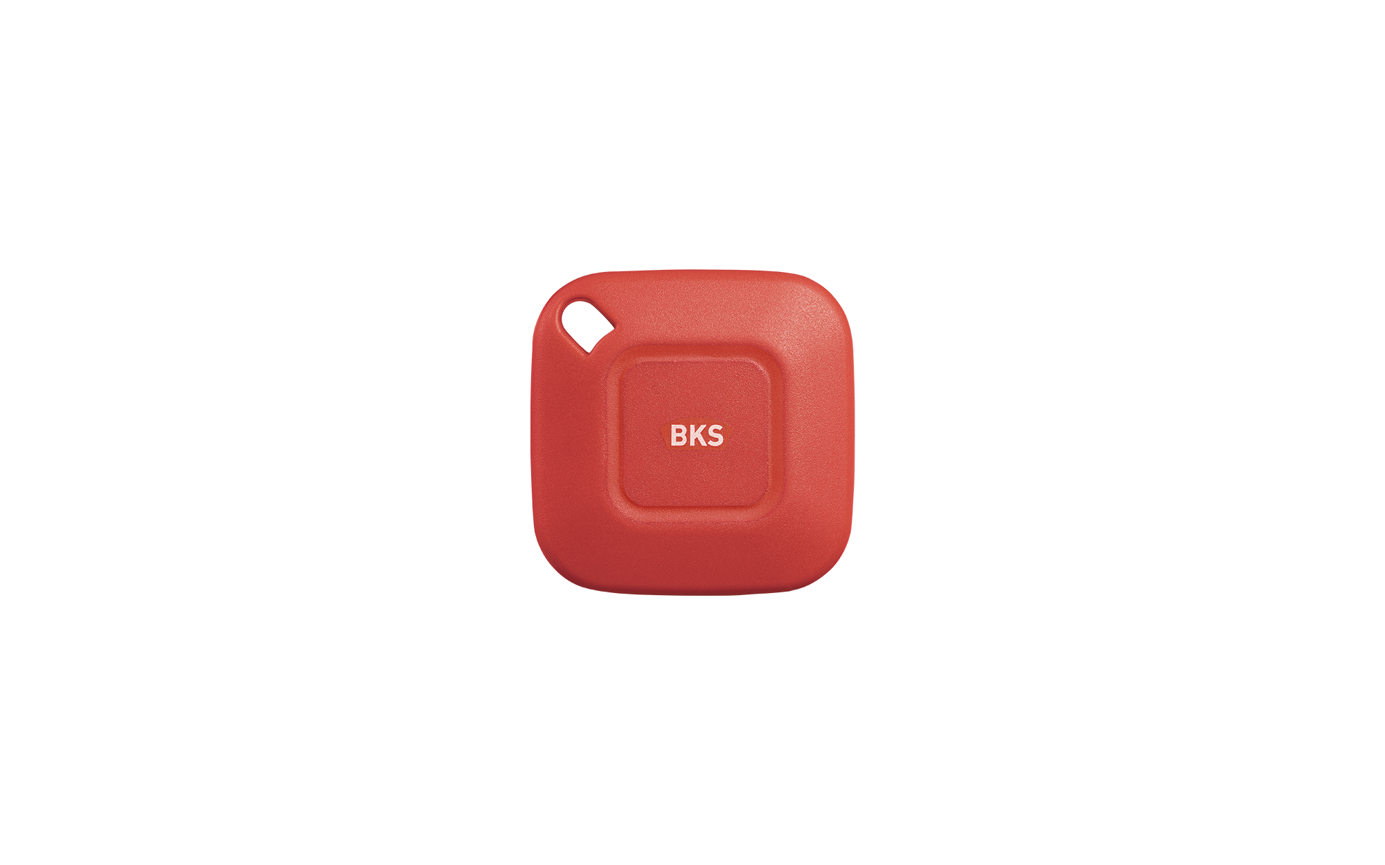 BKSremote Master Funkhandsender