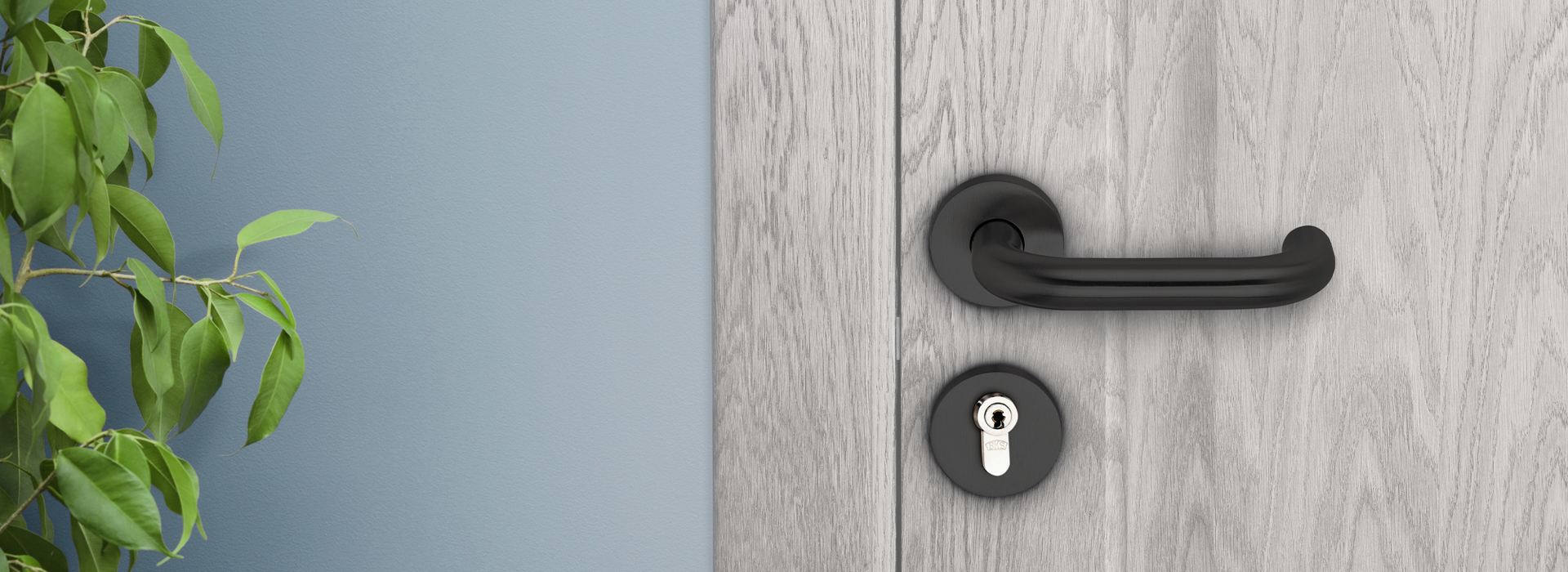 Moderner schwarzer Türgriff und Schließzylinder an einer Holztür mit blauer Wand und Pflanze