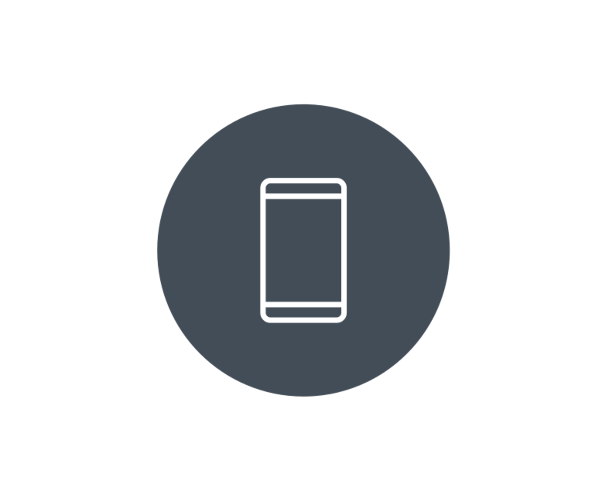 BKS identification app – authentication step 3